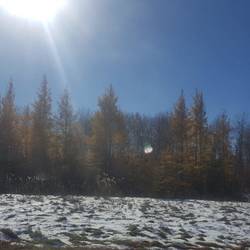 Goodbye Manitoba