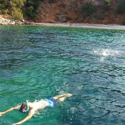 Gäste sind von Wasser und Fischwelt begeistert