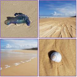 Portugiesische Galeeren am Strand