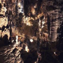 For scale, check out stair railings way in the background!