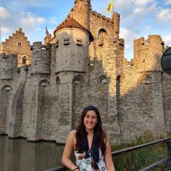 Castelo de Gent