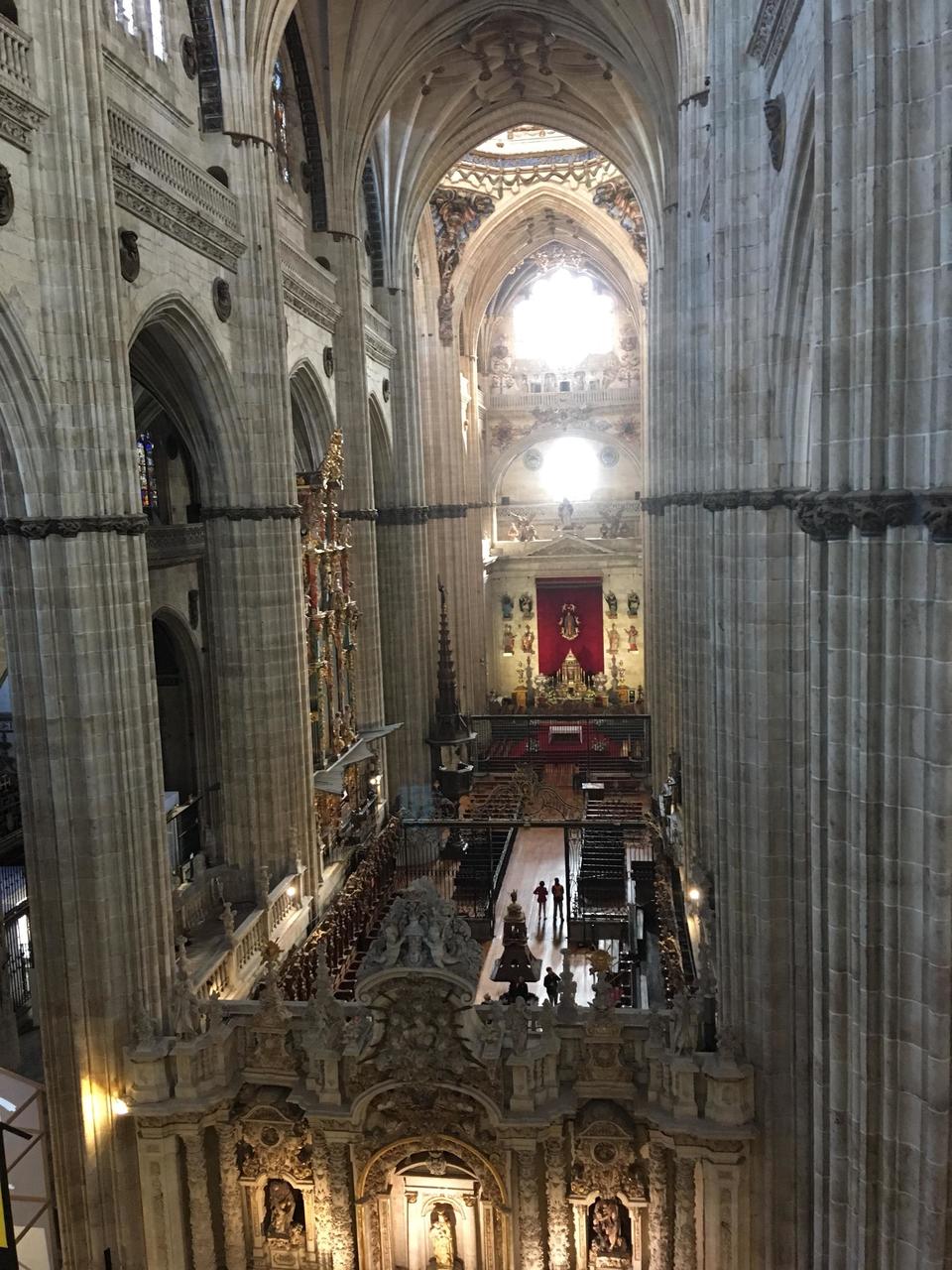 Looking down from high gallery