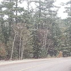 Abfahrt Algonquin PP