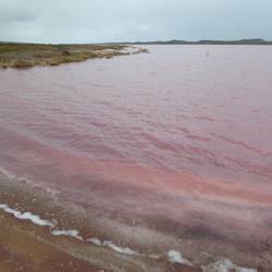 Pink Lake