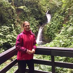 Wasserfall im Cloud forest