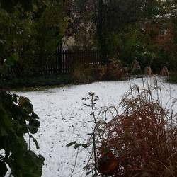 Vom Sommer direkt in den Winter..