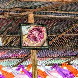 Organspenden werden hier gerne gesehen.