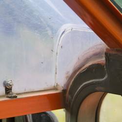 Mosquitoes as Big as Birds