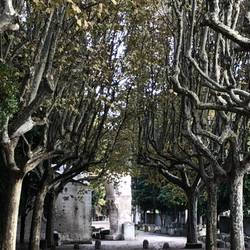 Les Alyscamps in Arles