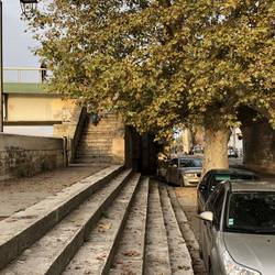 L’escalier du pont de Trinquetaille (look at the tree!)
