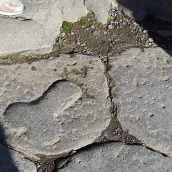 Directions to the Brothel