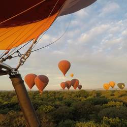 Balloons over Bagan