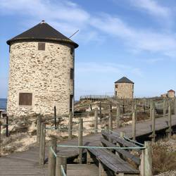 Not sure what these are for, but picturesque!