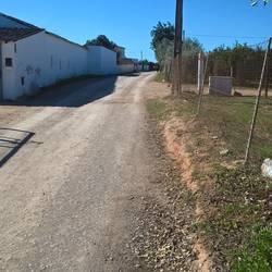Sleepy rural road outside Tavira
