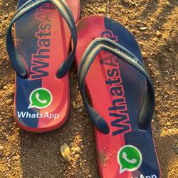 Felix' neueste Errungenschaft