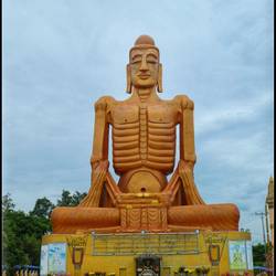 Skinny Buddha