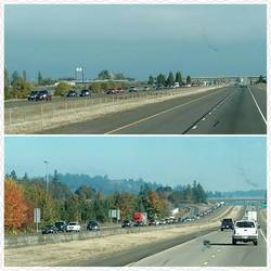 Duck fans migrating south