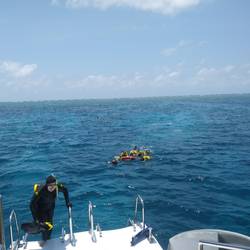 Schnorcheln am Great Barrier Reef