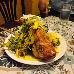 Red snapper