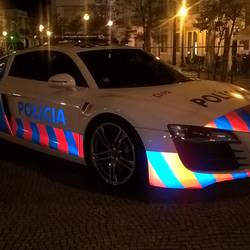 Audi plice chase car. Sounded lovely!