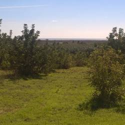 View of the sea behind Luz