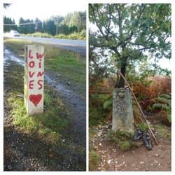 Die letzten km auf dem Camino. Man merkt dass dieses Stück sehr beliebt ist.