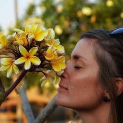 Hmmmmm... Frangipani