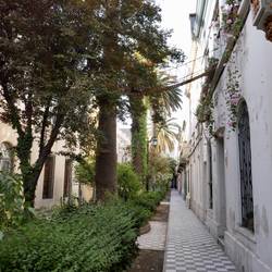 hintergasse mit Katzenhängebrücke