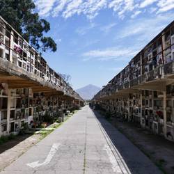 Günstige Gräberallee, zweispurige Straße durch den Friedhof.