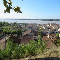 View from the top of town. You can see our ship on the bank.