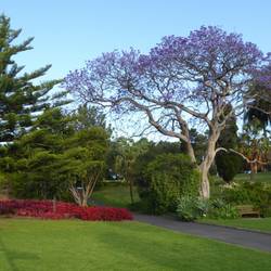 Botanical garden @ Sydney
