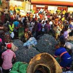 Die Türme an Fisch wehen ein strenges Düftchen in den Bus rein