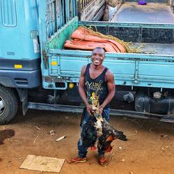Dieser nette junge Mann will mir einen Hahn über das Busfenster verkaufen