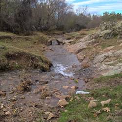 Stream just before we came into Gallegos