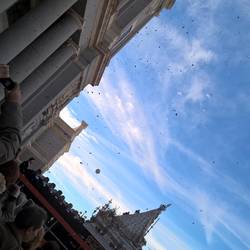 Rose petals being thrown onto the crowd