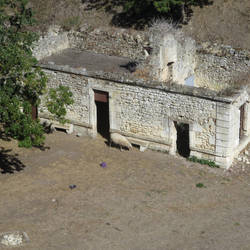 Sheep on citadel grounds