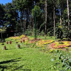 A small garden being created at Entre Nubis.