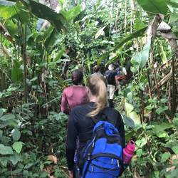 Trecking im Dschungel