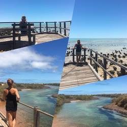Hamelin Pool & Little Lagoon