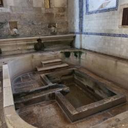 Fresh fish arrive in kitchen!