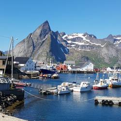 Die Lofoten halten was sie versprechen