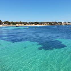 Der erste Eindruck von Rottnest Island