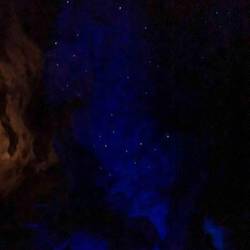 die weißen Punkte sind das Licht der Glühwürmchen; blau rundherum nur durch Lampe