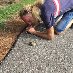 John and tiny tortoise