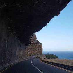 Chapmans Drive