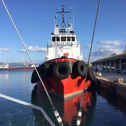 Tug next to looking very harmless in the calm and sunshine