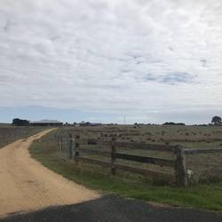 Auf dem Weg nach Foster