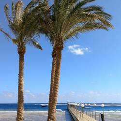 It's just a short walk to one of Egypt's most beautiful house reefs!