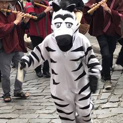 Zebras helfen Dir über den Zebrastreifen...
