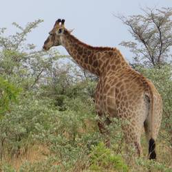 hier hat nur 1 den Überblick🤓